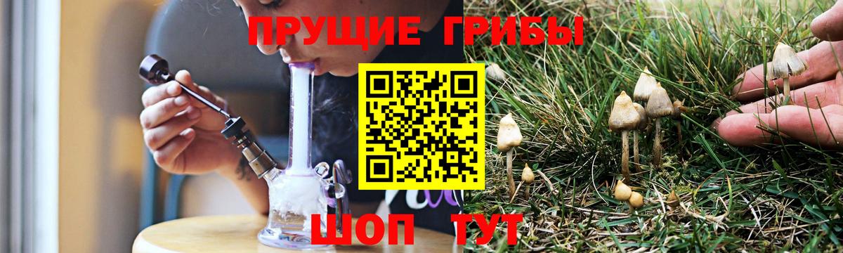 Псилоцибиновые грибы мицелий  Вход с VPN  Кумертау 
