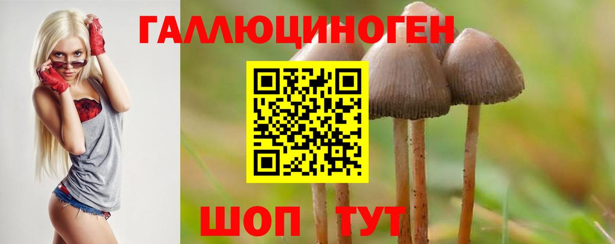 Галлюциногенные грибы прущие грибы Кумертау